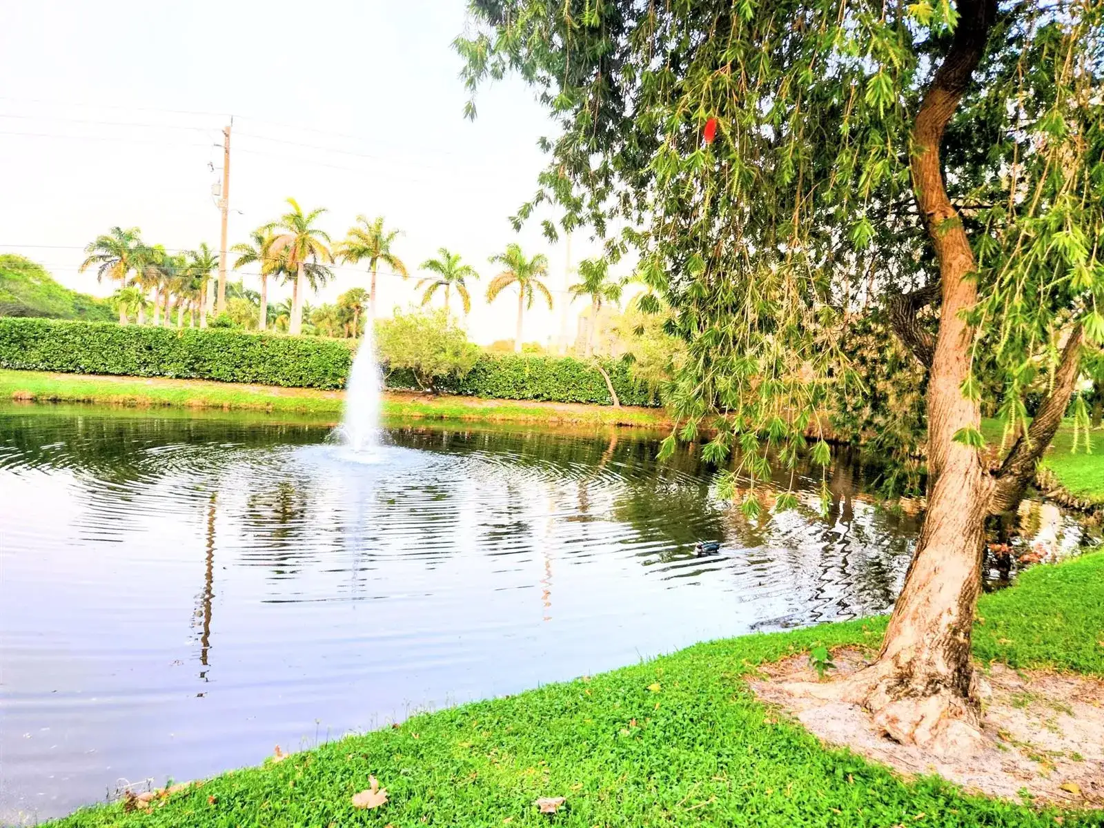 1020 Crystal Way # C, Delray Beach FL 33444 photo 5