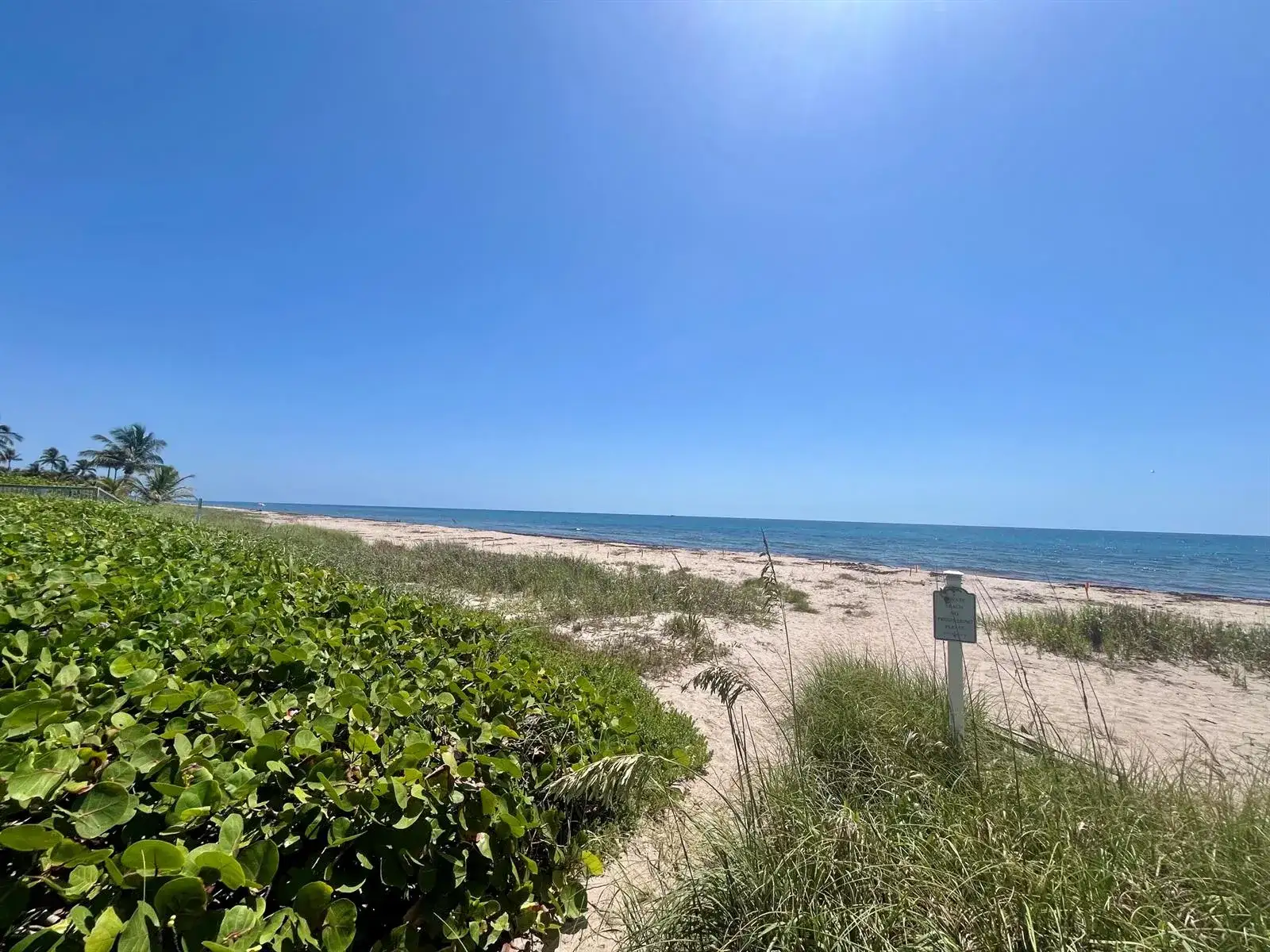 14 Tropical Drive, Ocean Ridge FL 33435 photo 4