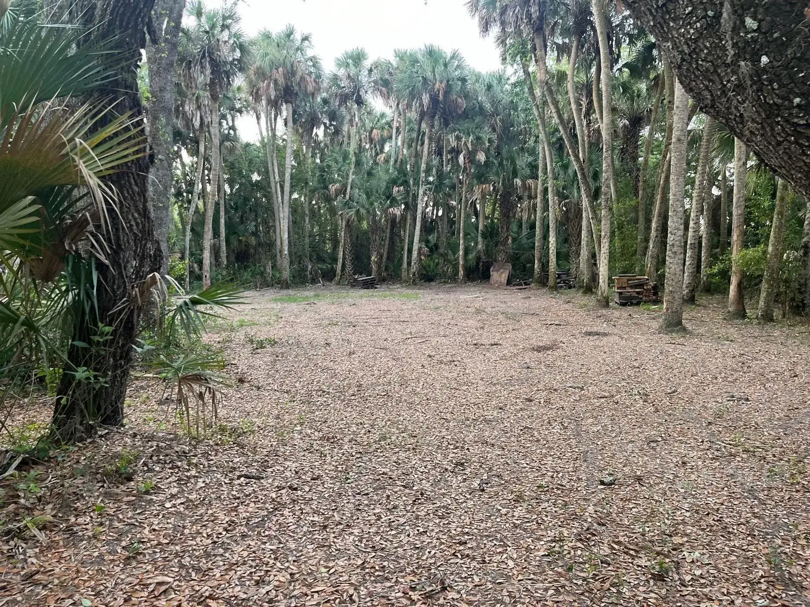15148 NW 288th Street, Okeechobee FL 34972 photo 5