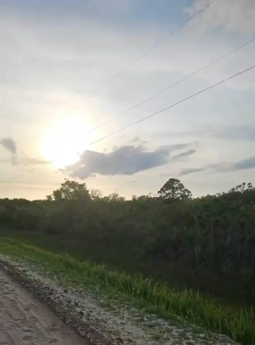 15775 NW 304th Street, Okeechobee FL 34972 photo 2