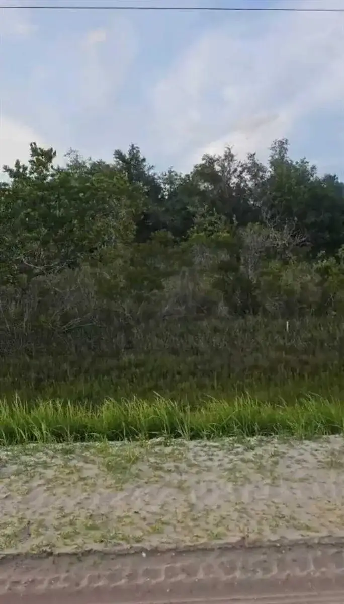 15775 NW 304th Street, Okeechobee FL 34972 photo 3
