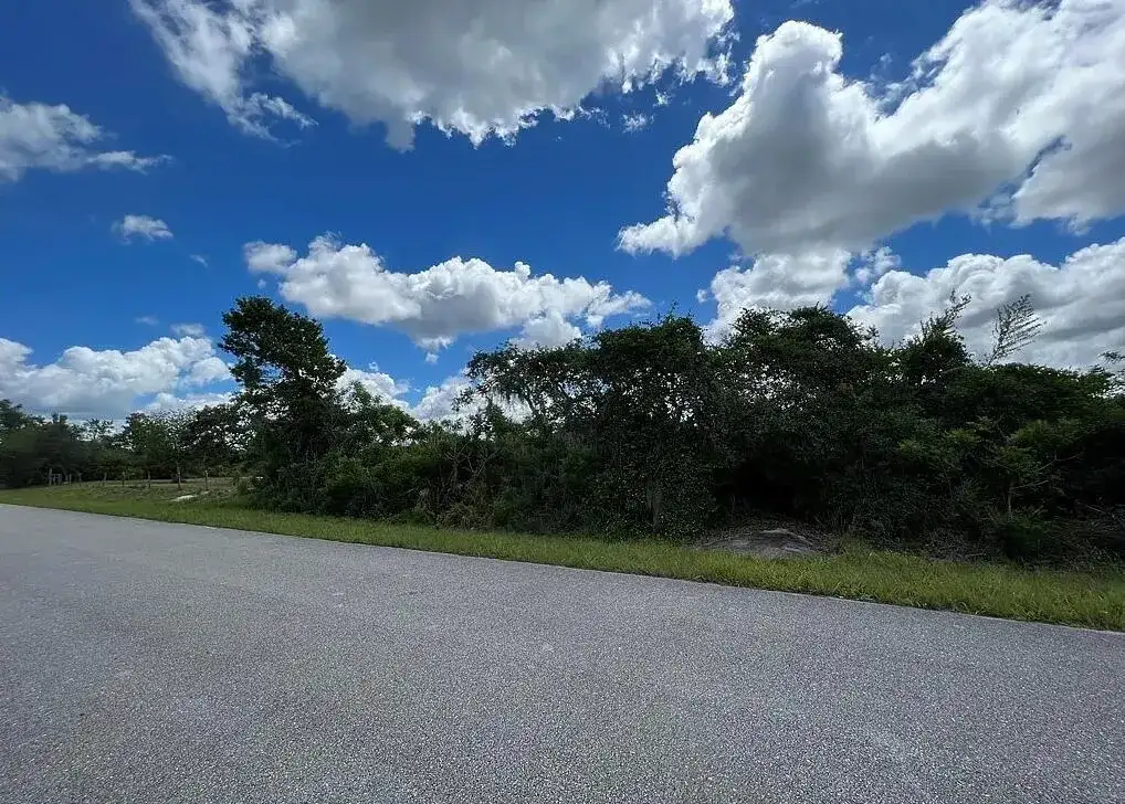 111 Marshall Avenue, Lake Placid FL 33852 photo 3