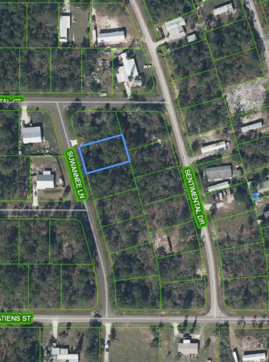 111 Suwannee Lane, Lake Placid FL 33852 photo 2
