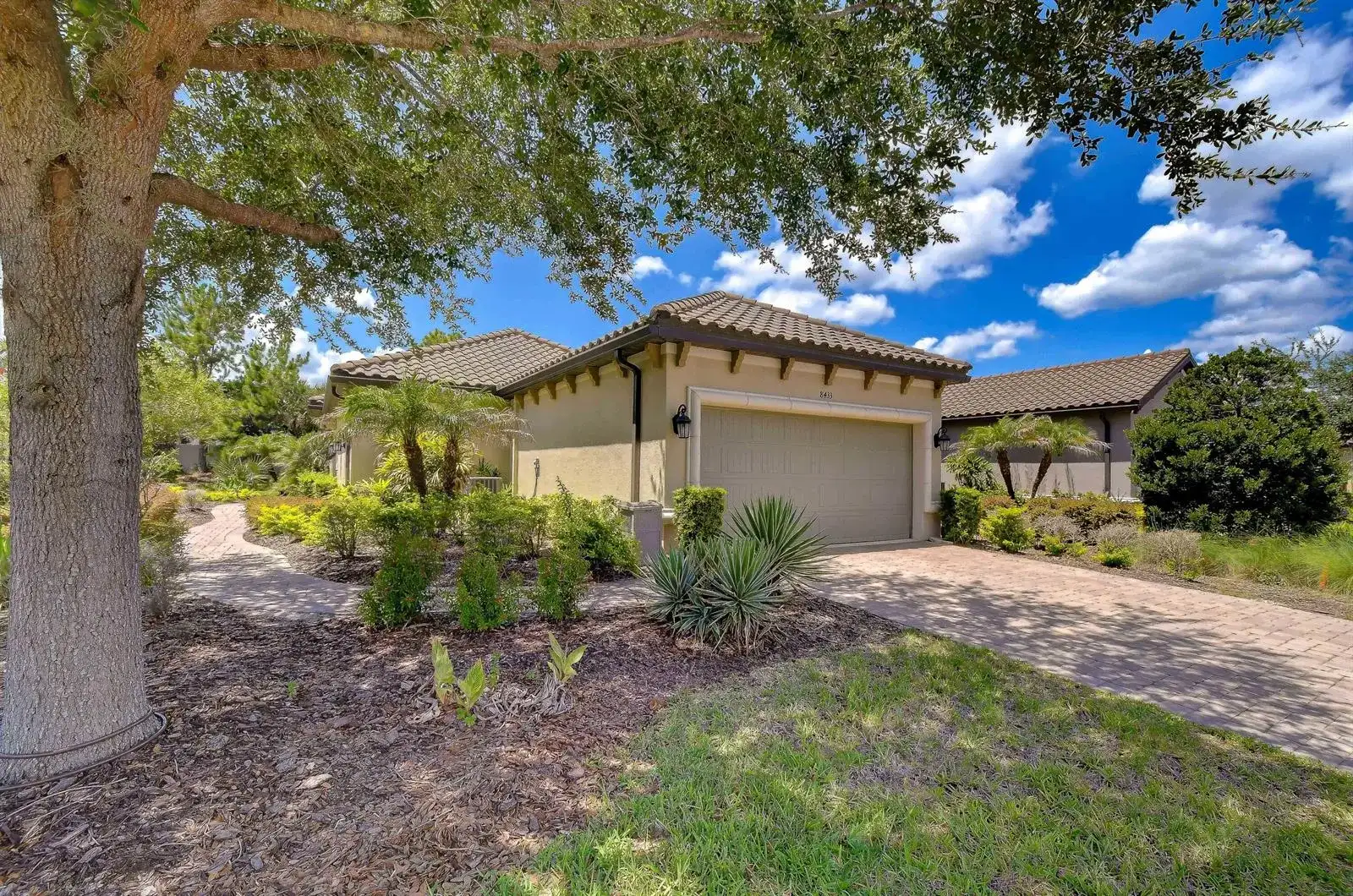 8433 Alberata Vista Drive, Tampa FL 33647 photo 5