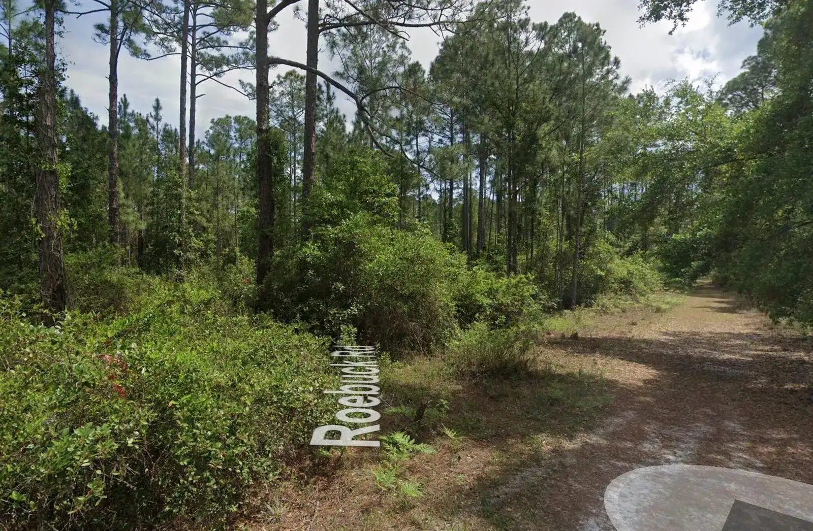 126 Roebuck Street, FL 32139 photo 3