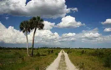 19320 NW 300th Street, Okeechobee FL 34972 photo 3