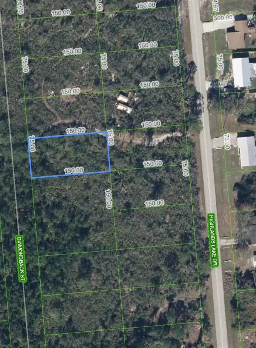 651 Mckinley Street, Lake Placid FL 33852 photo 3