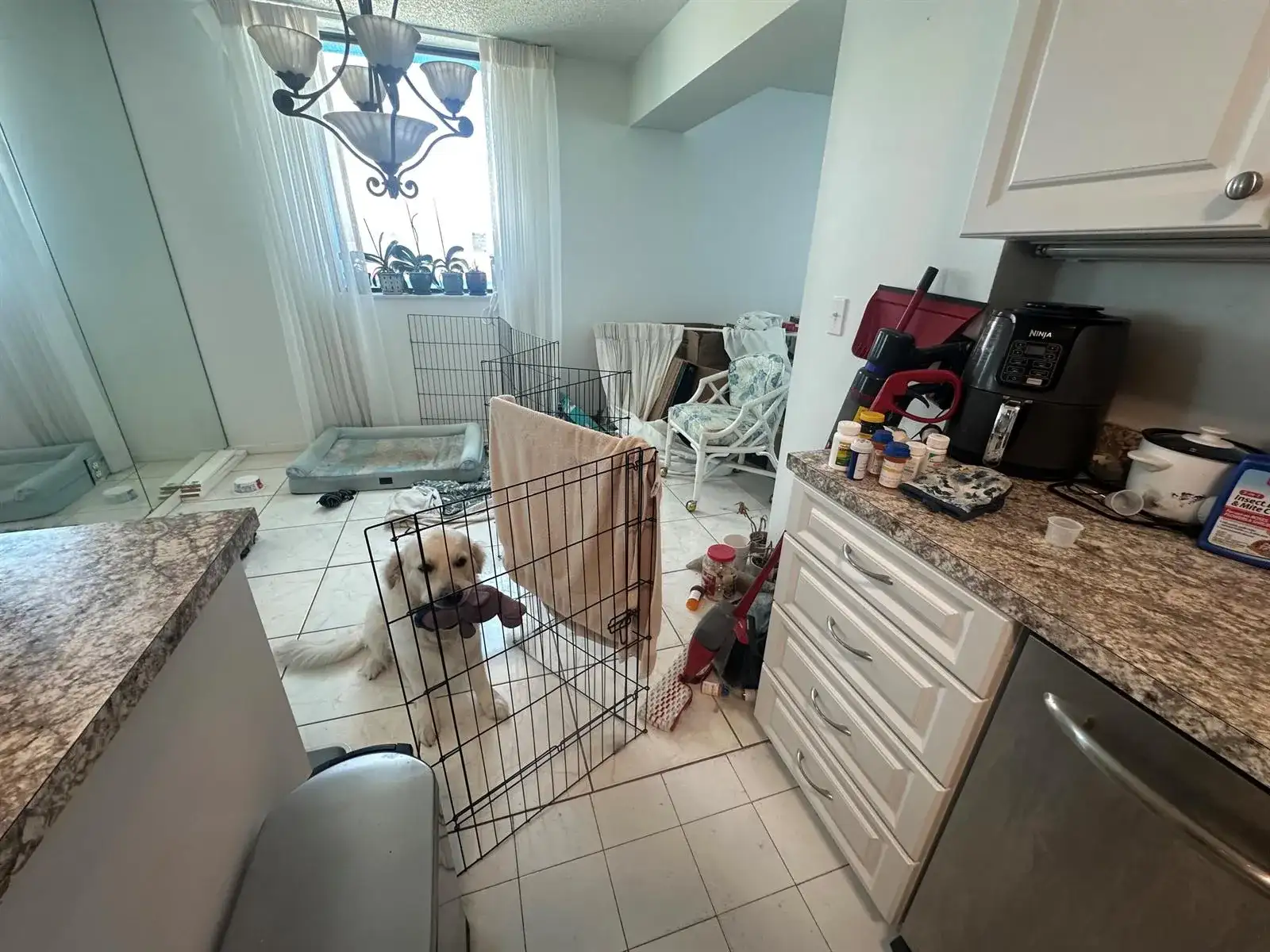 5380 N Ocean Drive # 4e, Singer Island FL 33404 photo 5