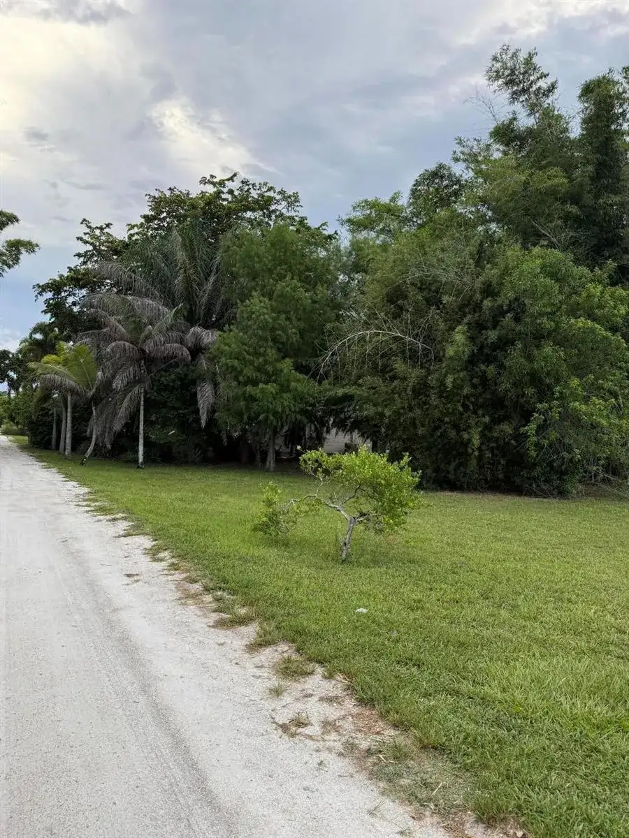 345 Citrus Drive, FL 33470 photo 2