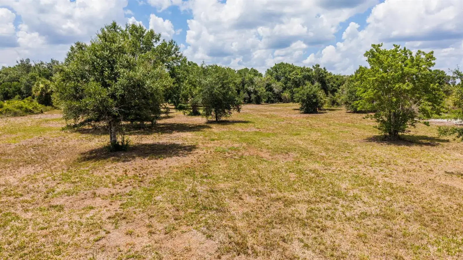 19371 NW 254th Street, Okeechobee FL 34972 photo 5
