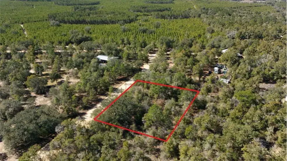 0 Stewart Lake Road, FL 32428 photo 3