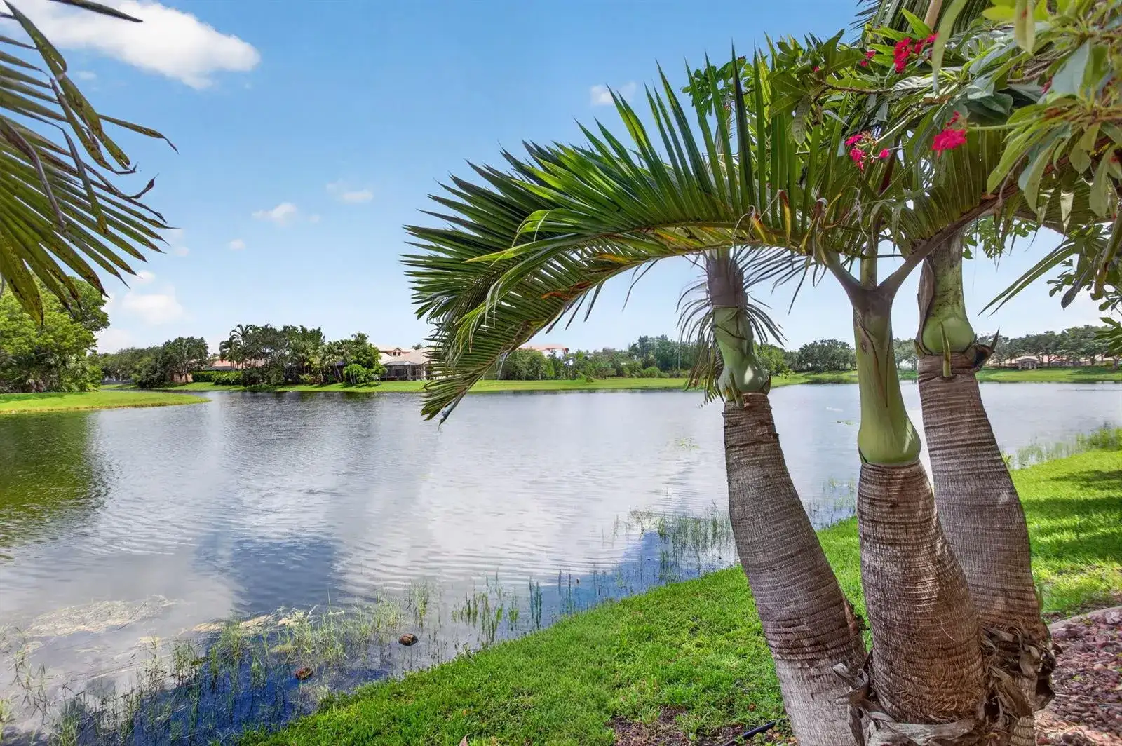 6443 NW 110th Avenue, Parkland FL 33076 photo 4