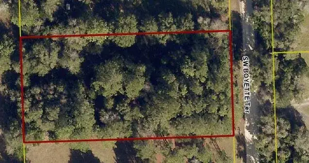 888 SW Boyette Terrace, FL 32024 photo 2