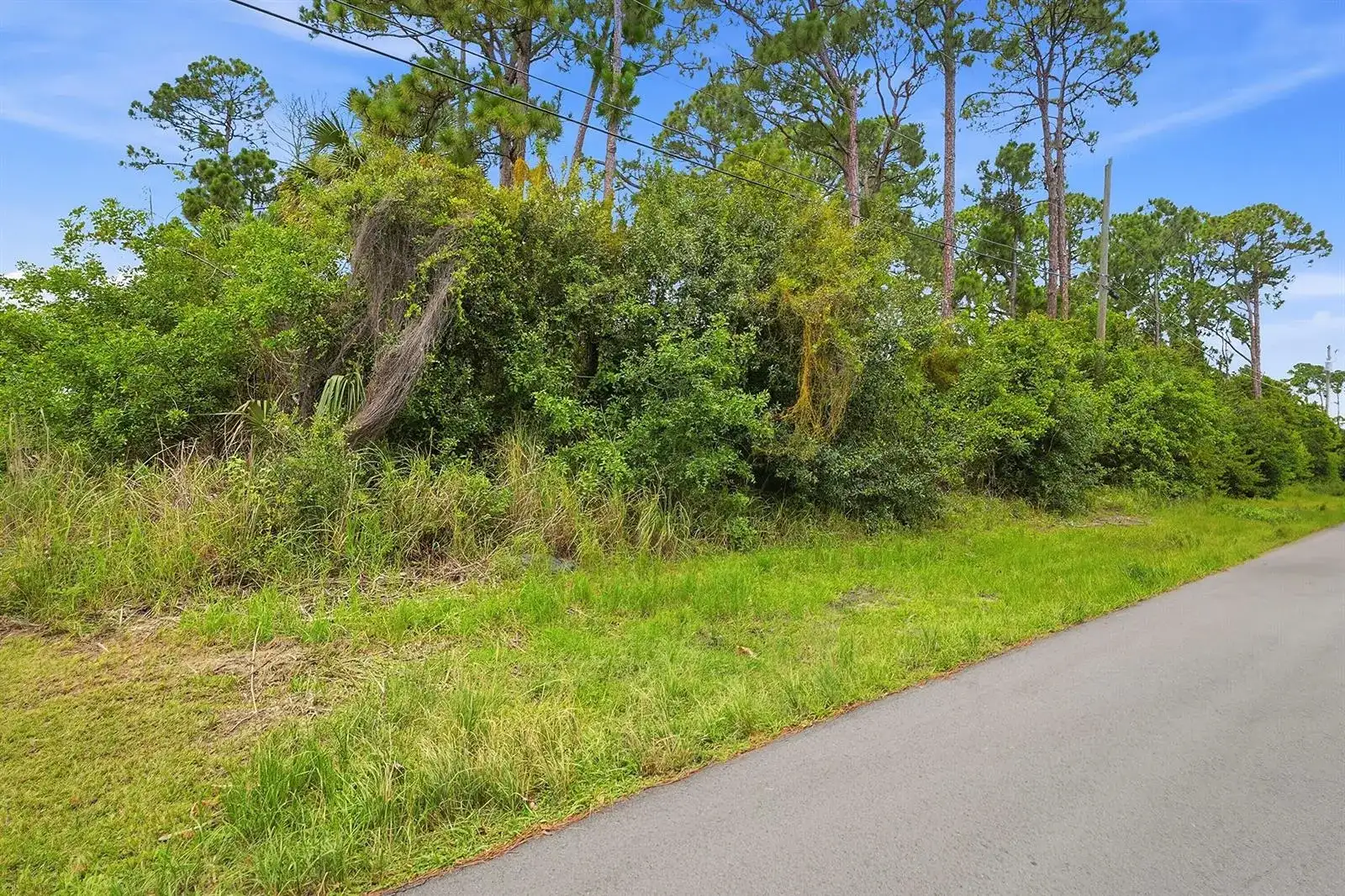 3532 SW Carmody Street, Port St. Lucie FL 34953 photo 3