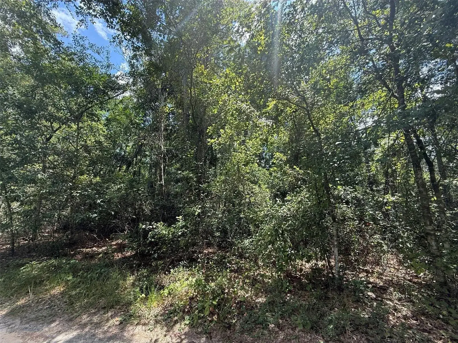 313 CALHOUN Avenue, FL 32140 photo 2