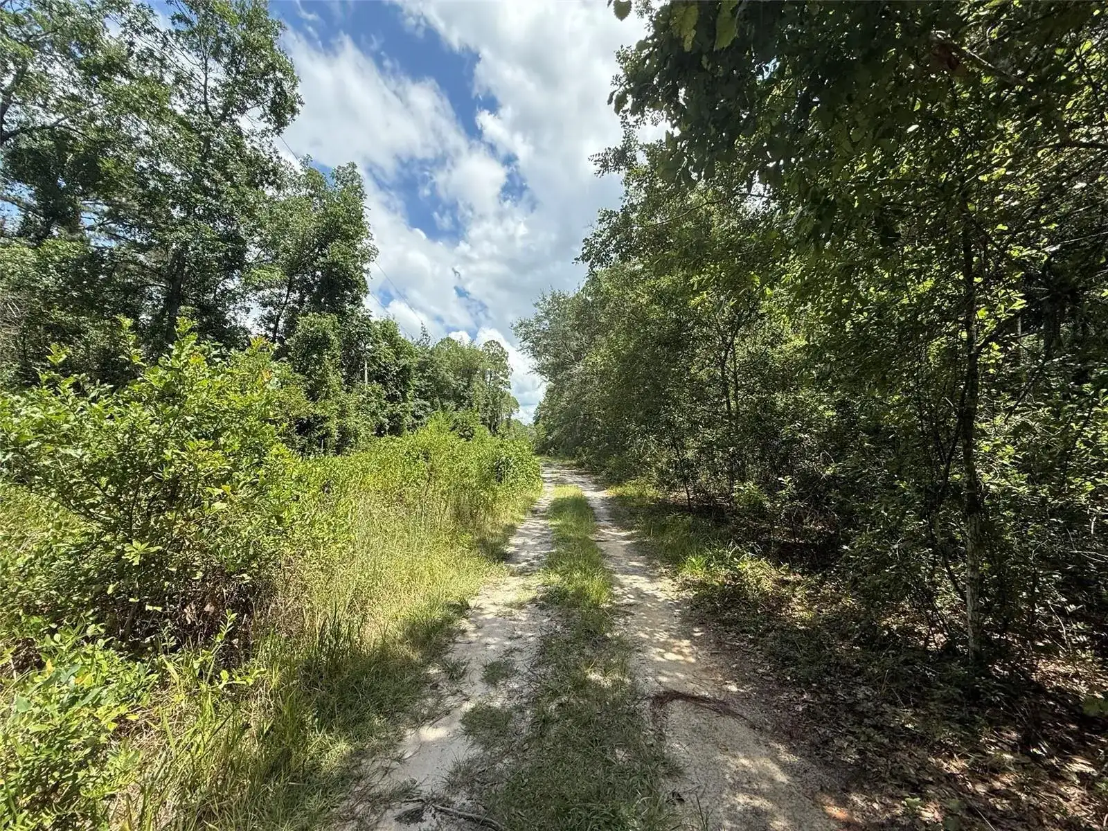 313 CALHOUN Avenue, FL 32140 photo 3