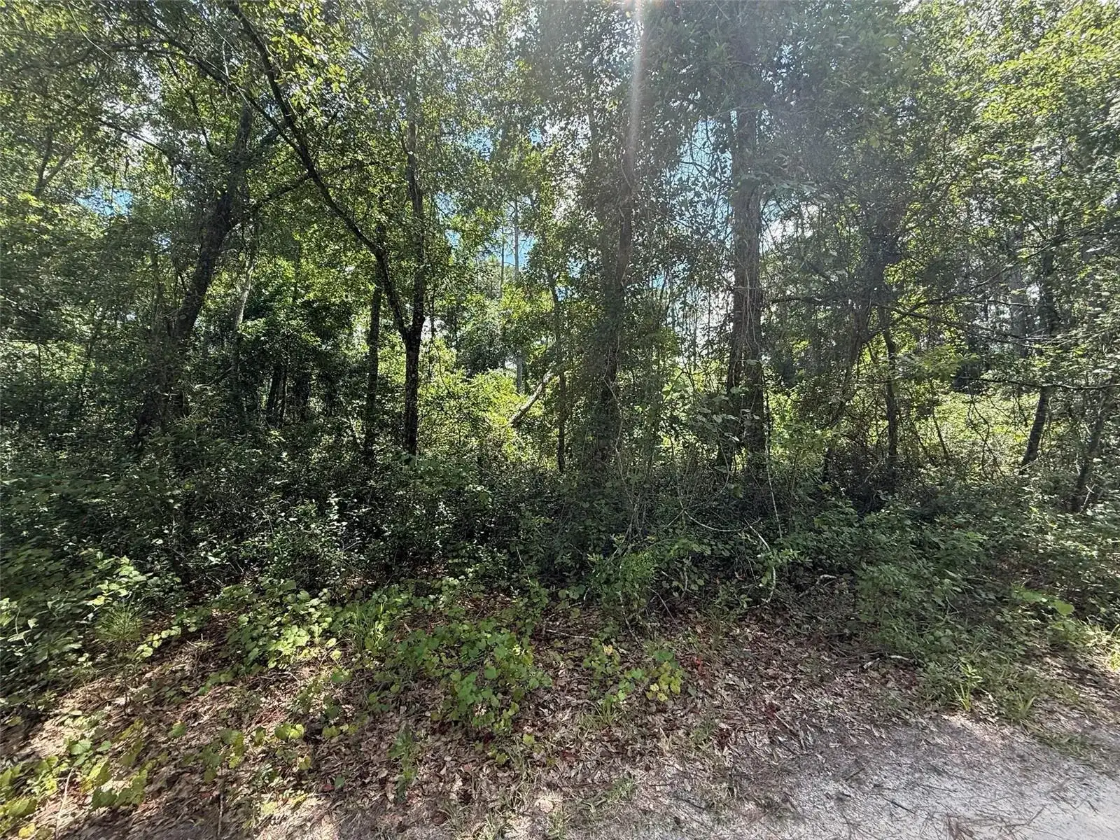 313 CALHOUN Avenue, FL 32140 photo 4
