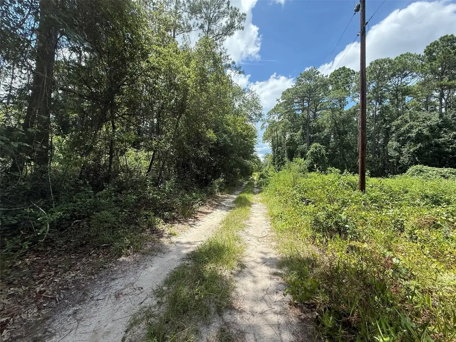 313 CALHOUN Avenue, FL 32140 photo 5