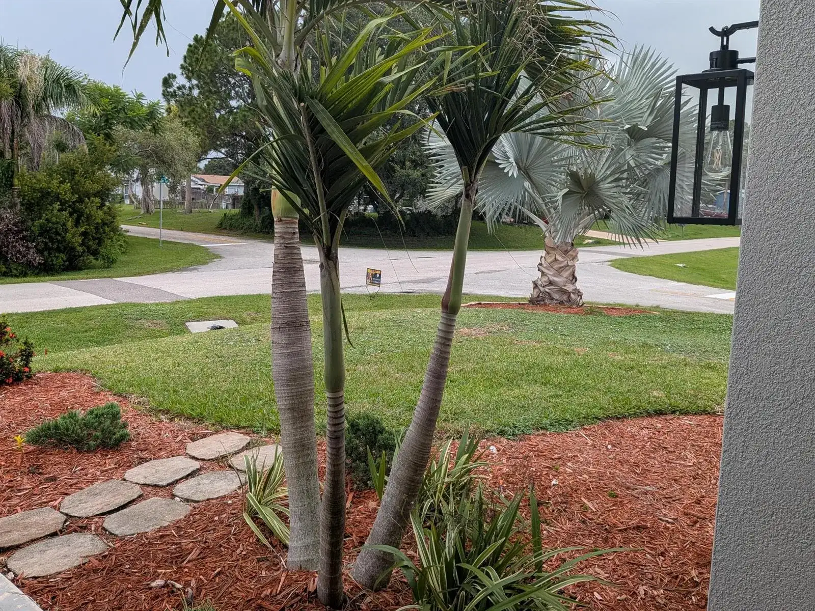 261 MIDVALE Terrace, Sebastian FL 32958 photo 5
