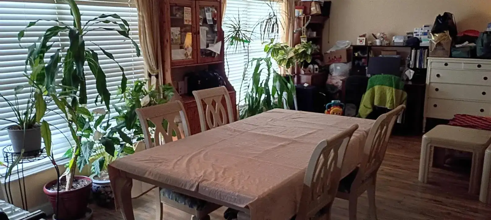 4705 SE Teri Place, Stuart FL 34997 photo 3