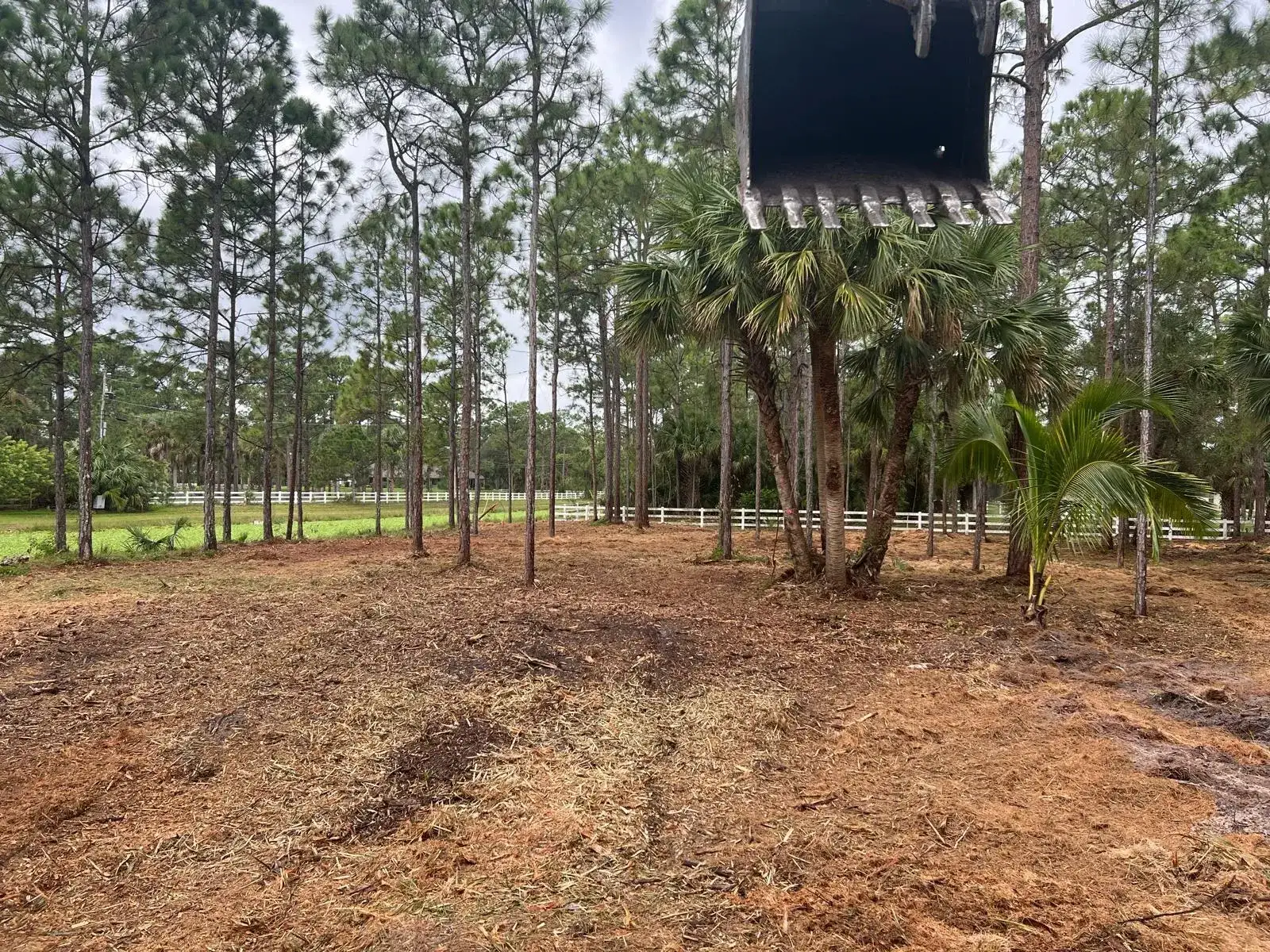 1030 Stallion Drive W, FL 33470 photo 5