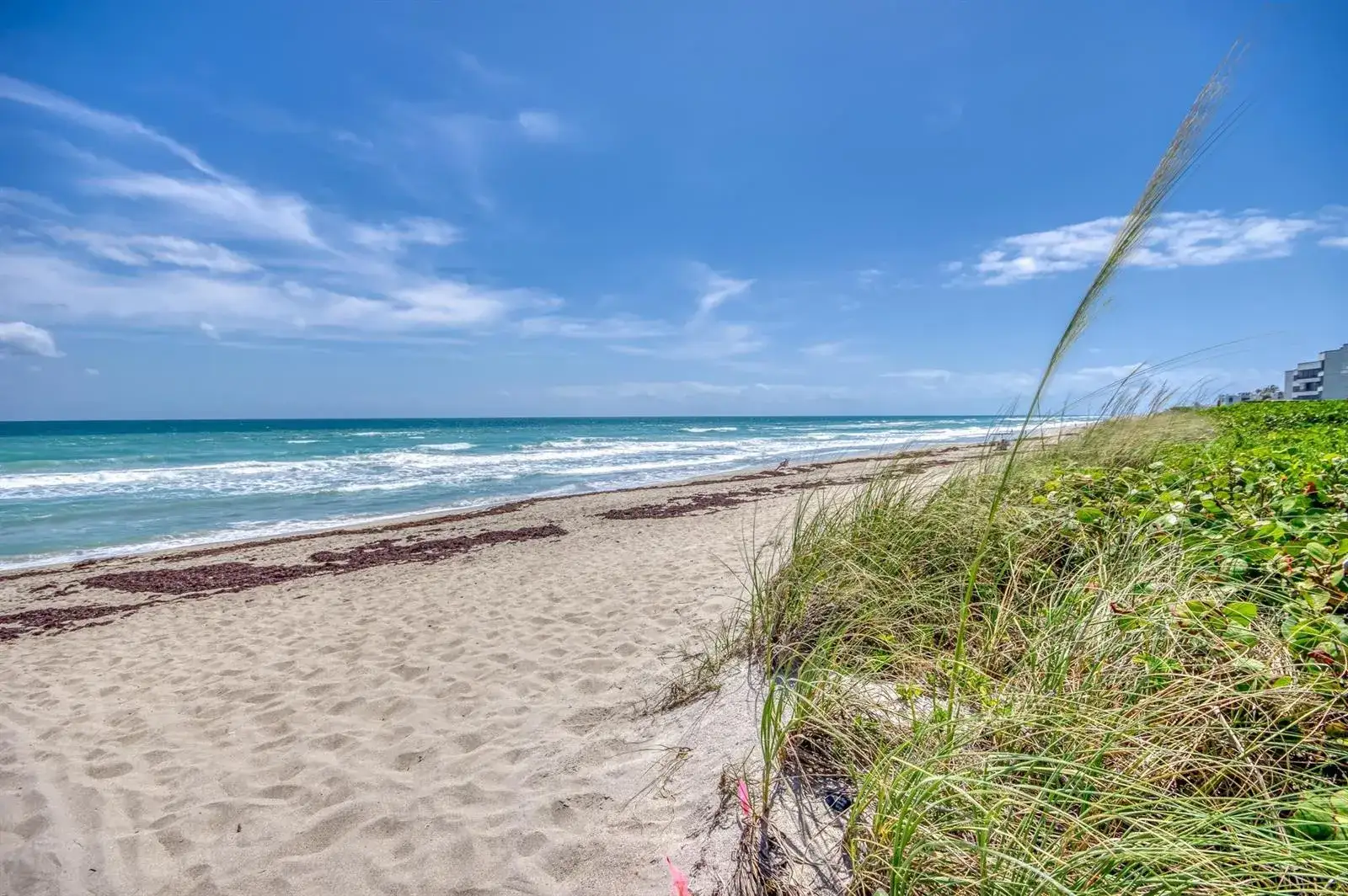 1501 NE Ocean Boulevard # 8, Stuart FL 34996 photo 2