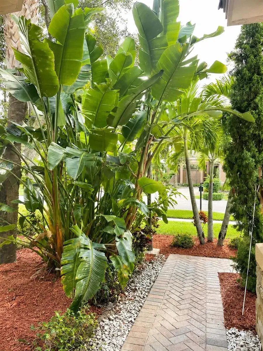 10341 Medicis Place, Wellington FL 33449 photo 3
