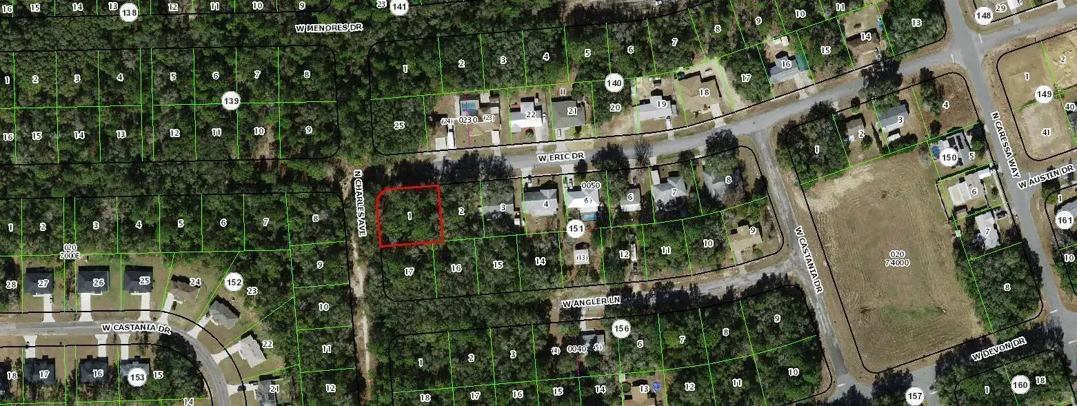 2520 W ERIC Drive, FL 34434 photo 2