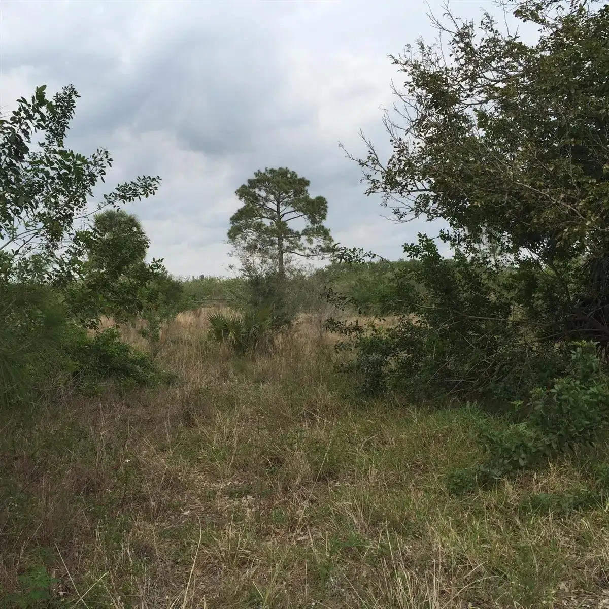 20636 LOUISE Street, Loxahatchee FL 33470 photo 2