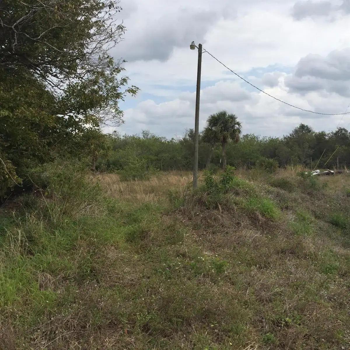 20636 LOUISE Street, Loxahatchee FL 33470 photo 3