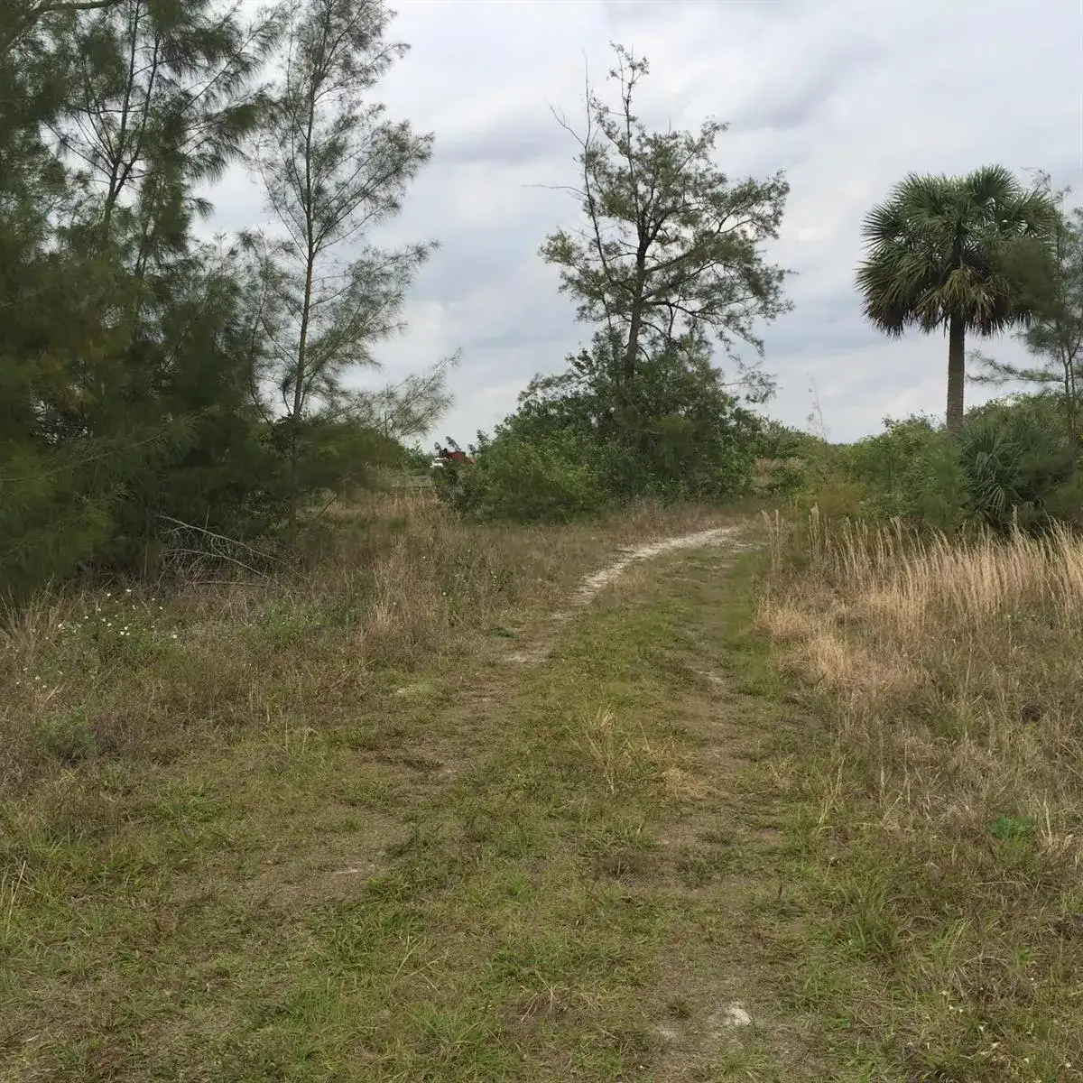 20636 LOUISE Street, Loxahatchee FL 33470 photo 4