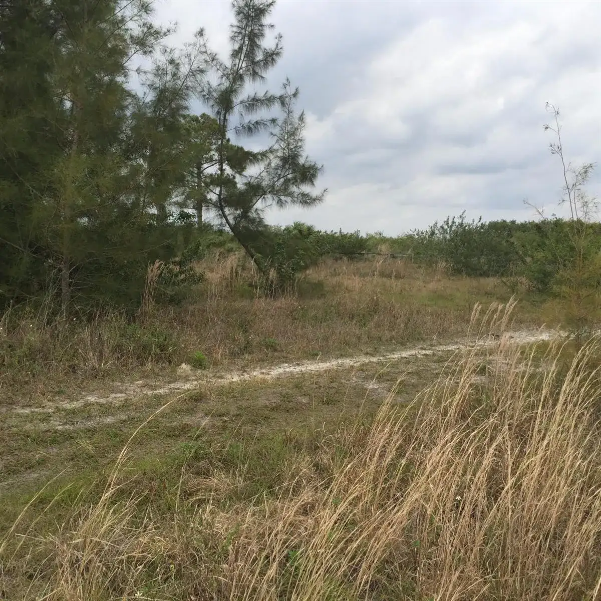 20636 LOUISE Street, Loxahatchee FL 33470 photo 5
