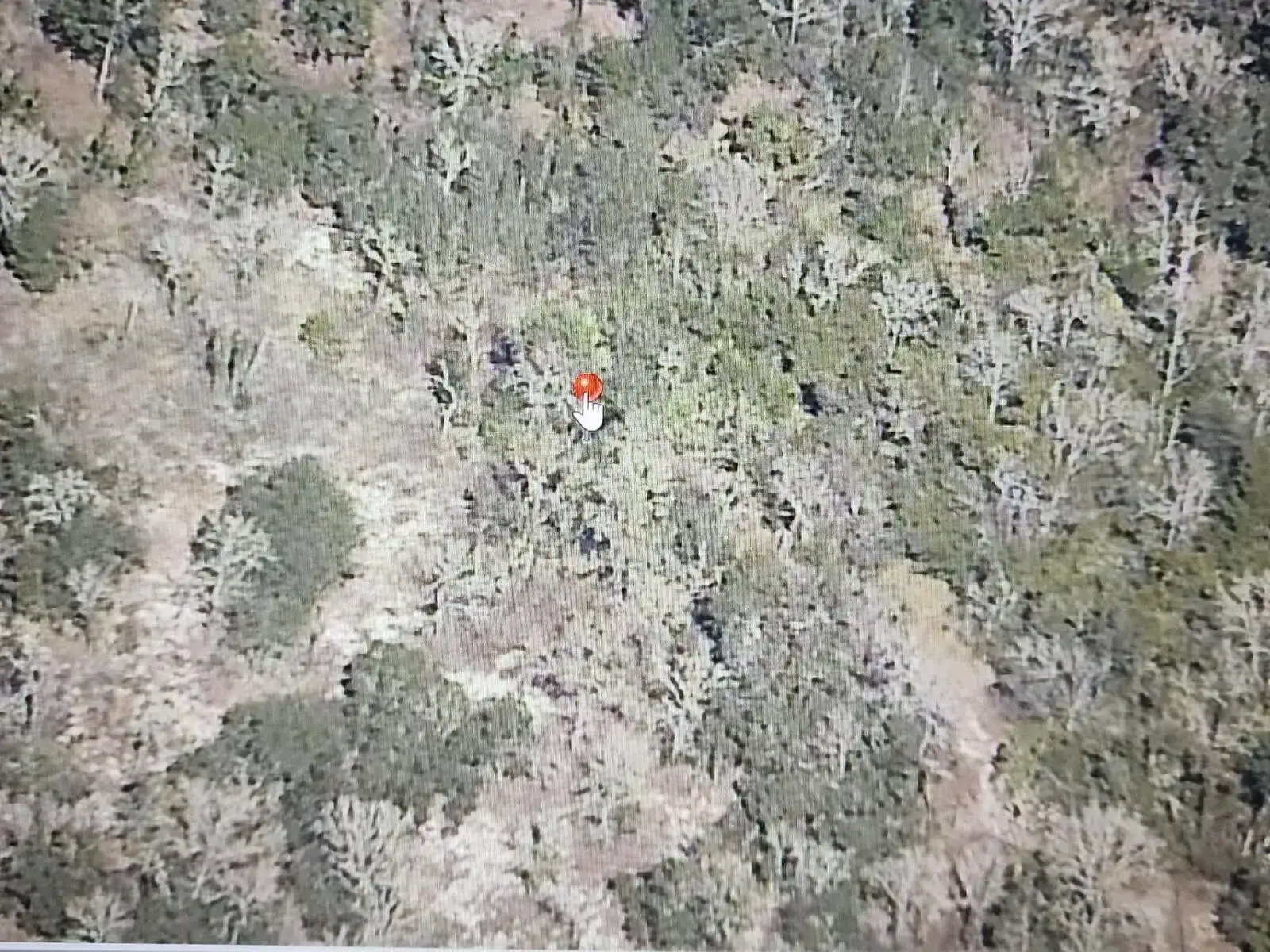 000 SW Paradise Heights Road, FL 34431 photo 2