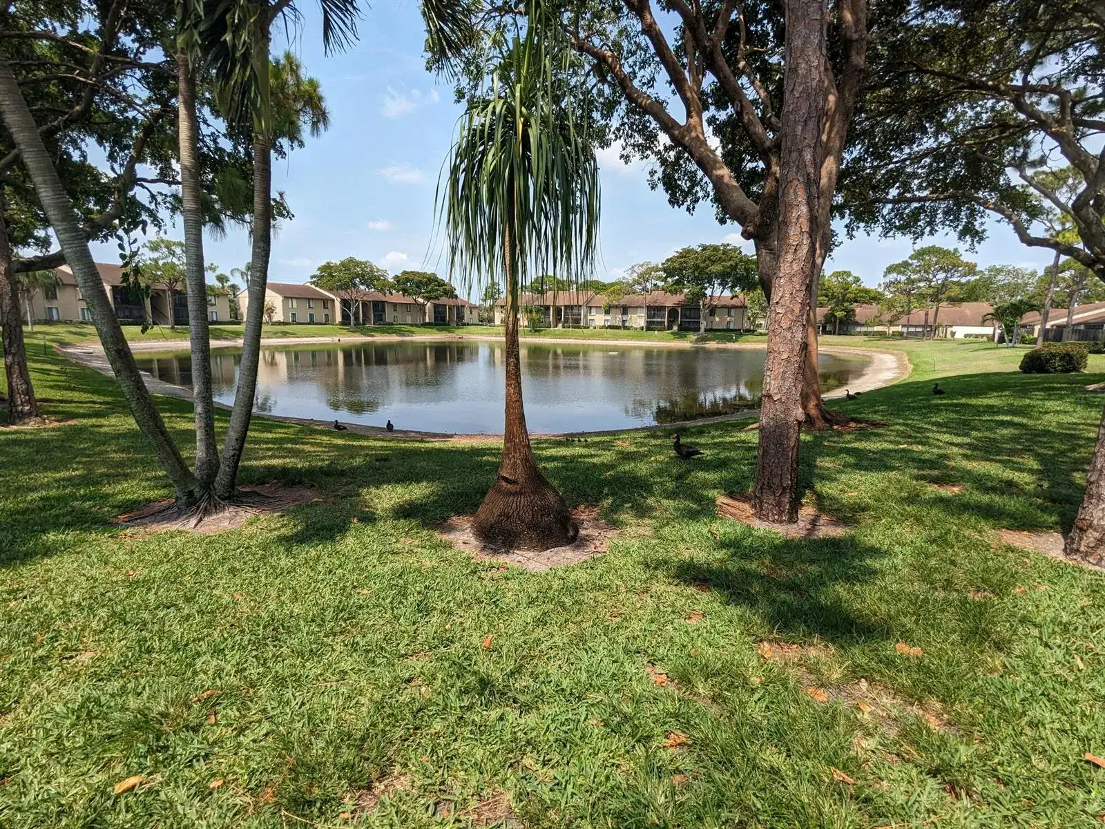 711 Sunny Pine Way # B1, FL 33415 photo 3