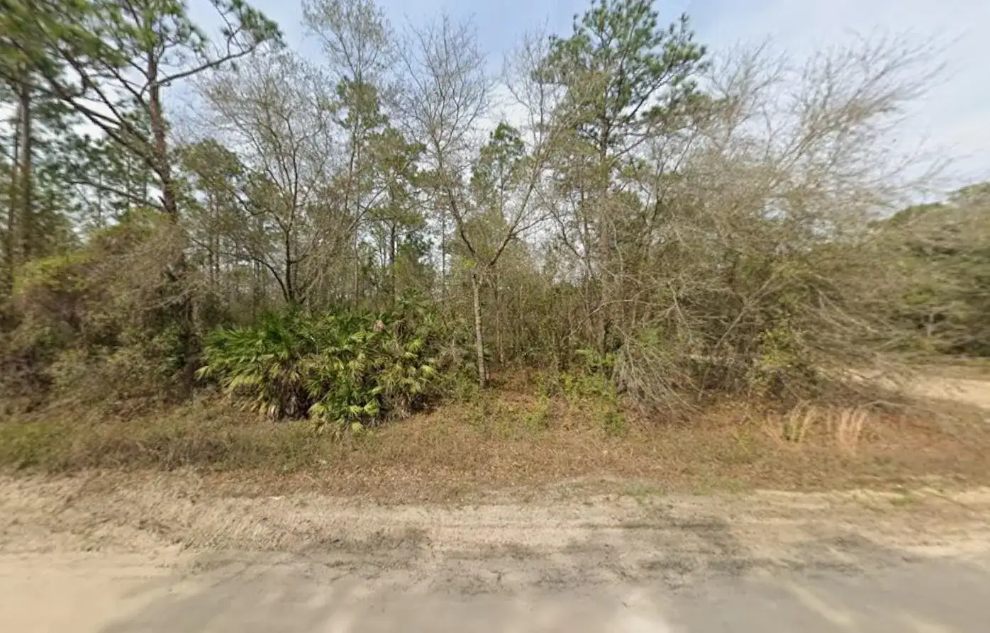 Tbd Wallace Street, FL 32148 photo 2