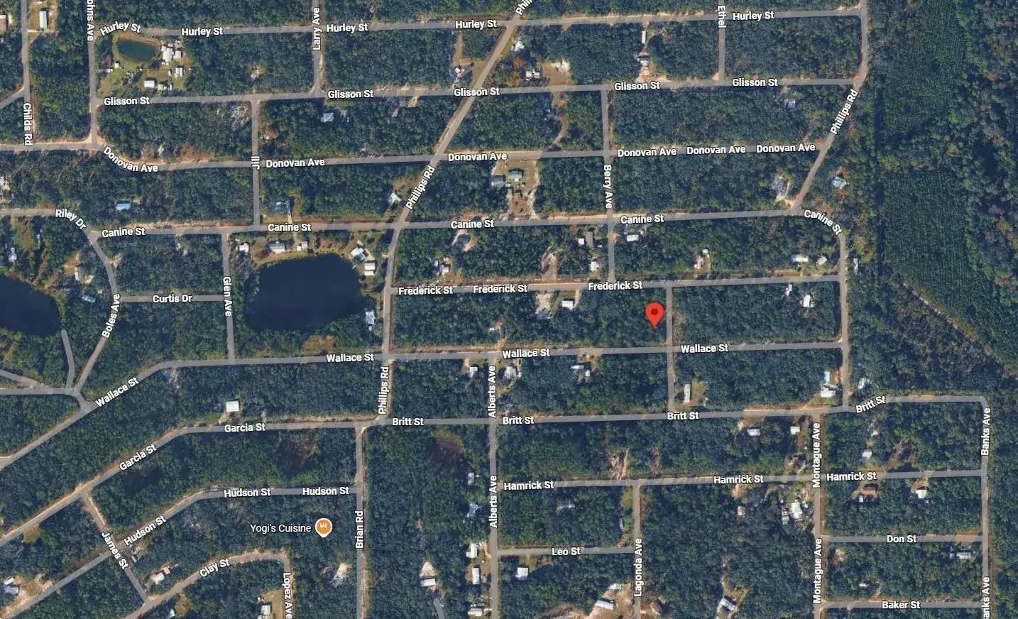 Tbd Wallace Street, FL 32148 photo 3