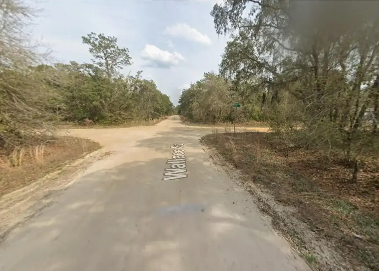 Tbd Wallace Street, FL 32148 photo 4