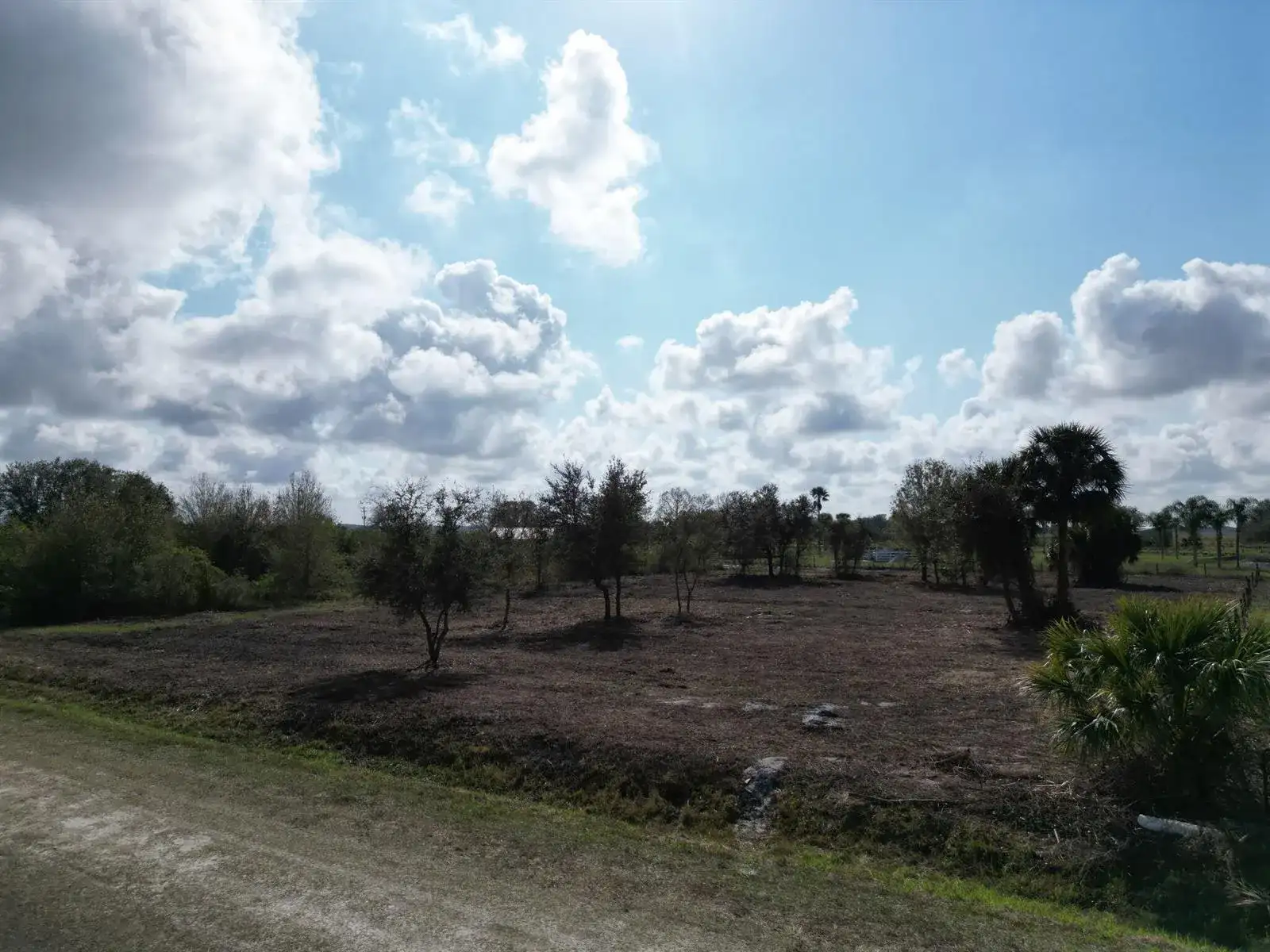 14510 NW 242ND Street, Okeechobee FL 34972 photo 3
