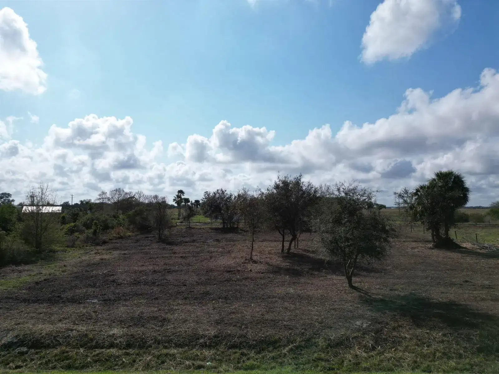 14510 NW 242ND Street, Okeechobee FL 34972 photo 4