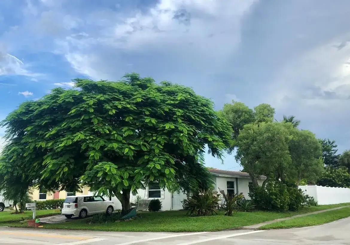 301 5TH Street, Jupiter FL 33458 photo 2