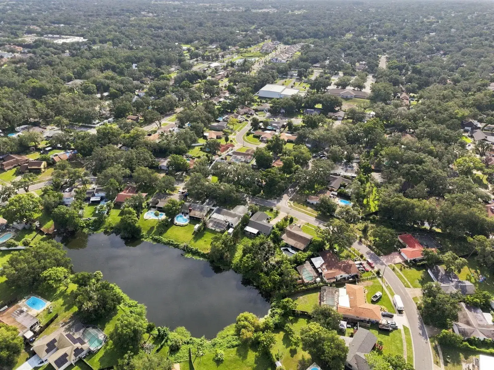 3801 Southview Drive, Brandon FL 33511 photo 2