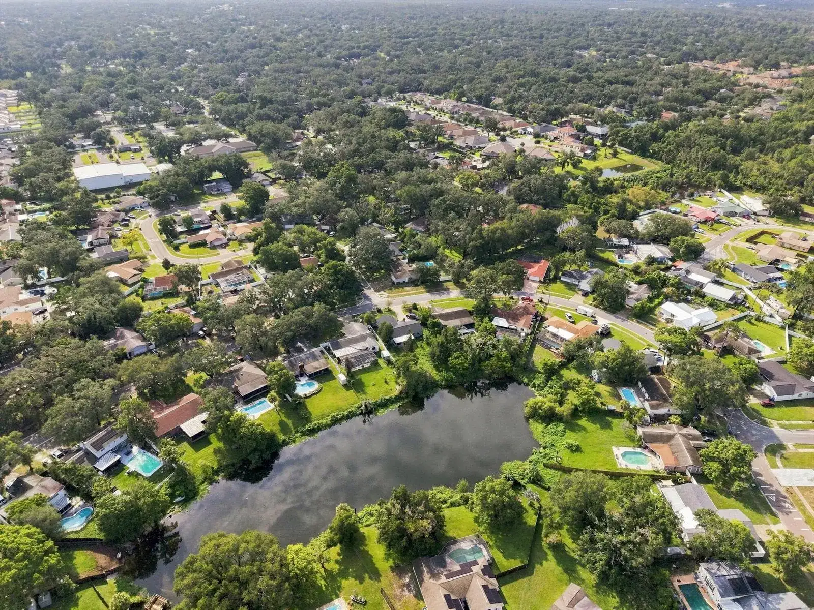 3801 Southview Drive, Brandon FL 33511 photo 5