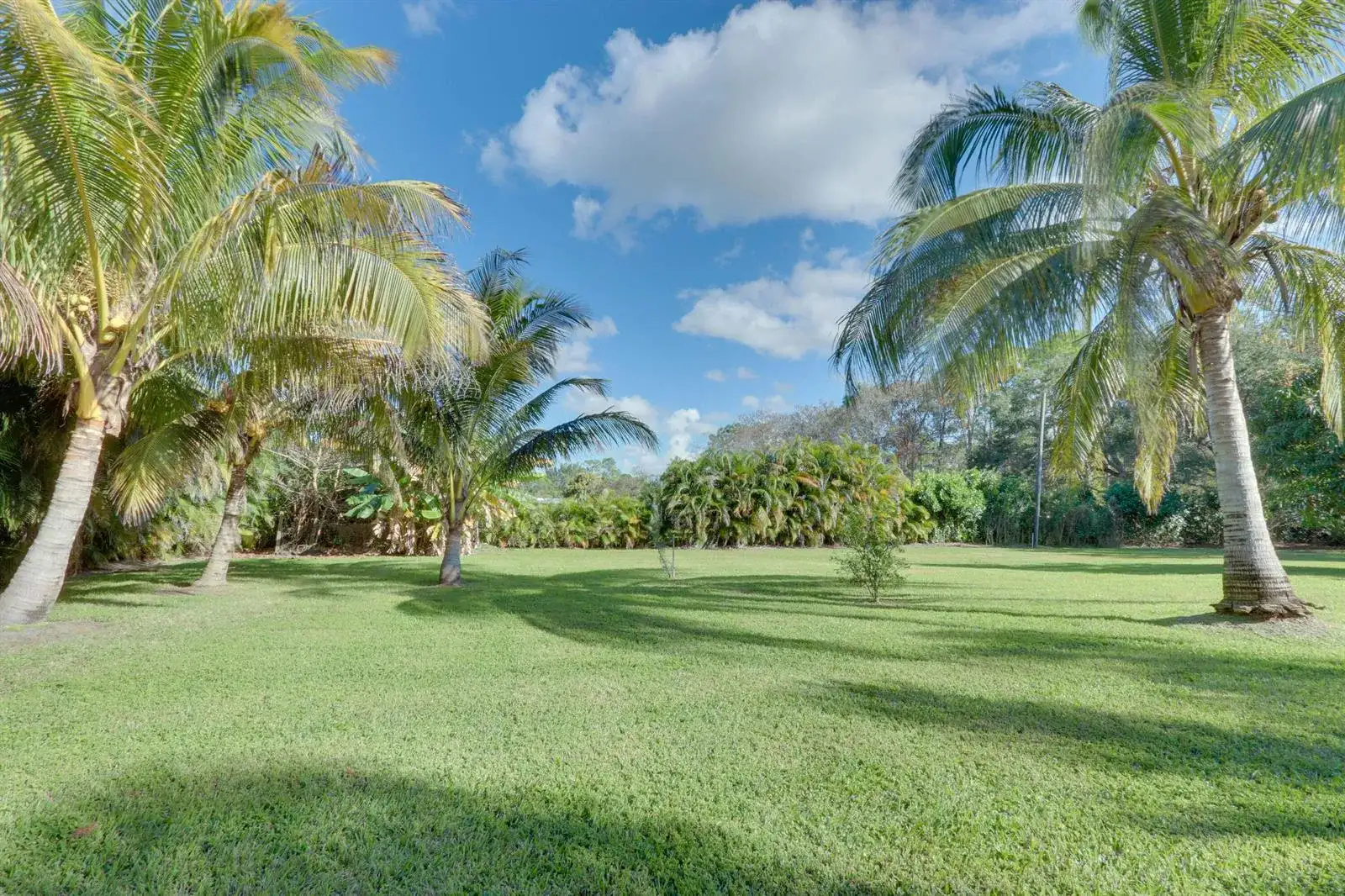 16975 83RD Place N, FL 33470 photo 5