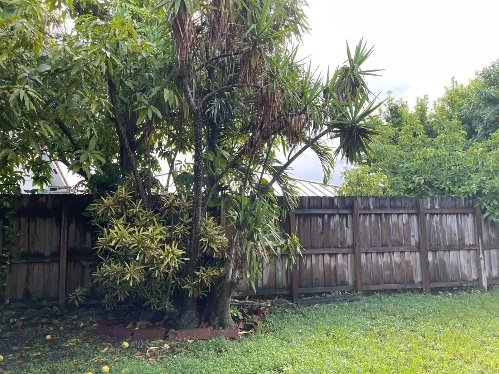 4874 SW 142nd Place, Miami FL 33175 photo 5