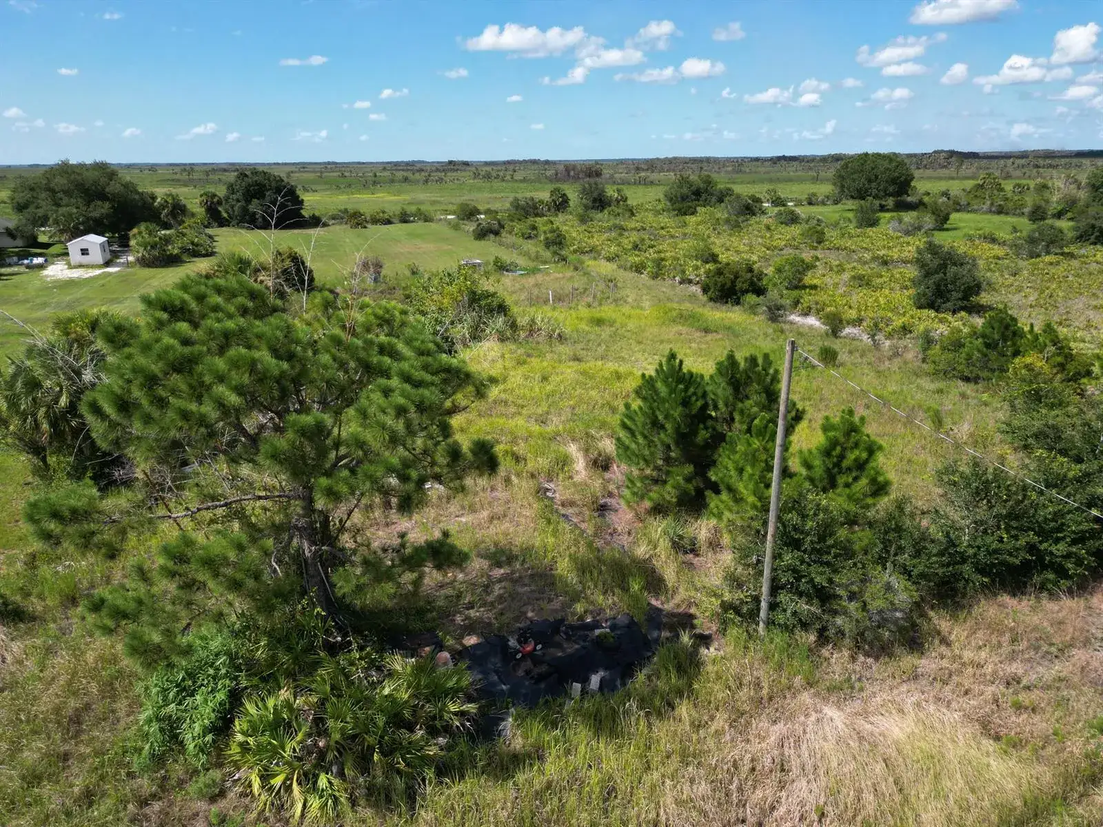 18239 NW 318TH Street, Okeechobee FL 34972 photo 3