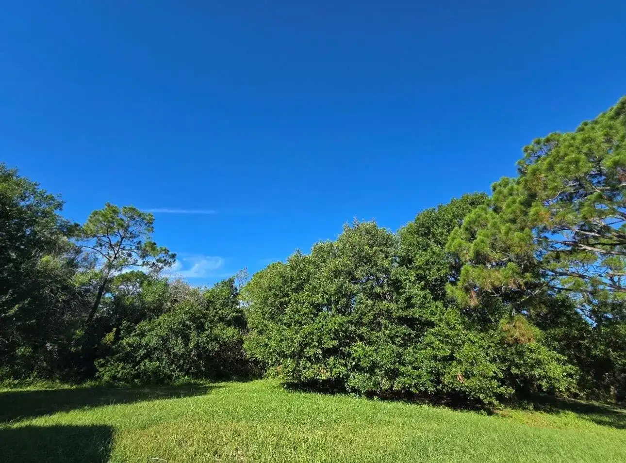 2550 COREY Avenue, Melbourne FL 32904 photo 4
