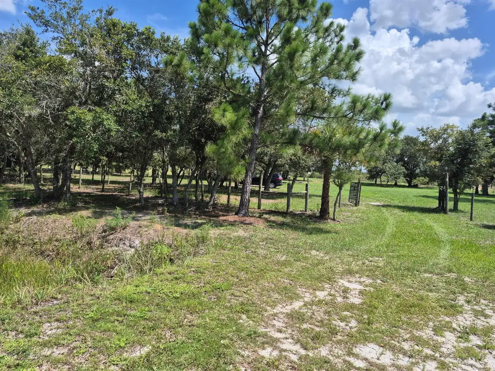 17064 NW 304TH Street, Okeechobee FL 34972 photo 4
