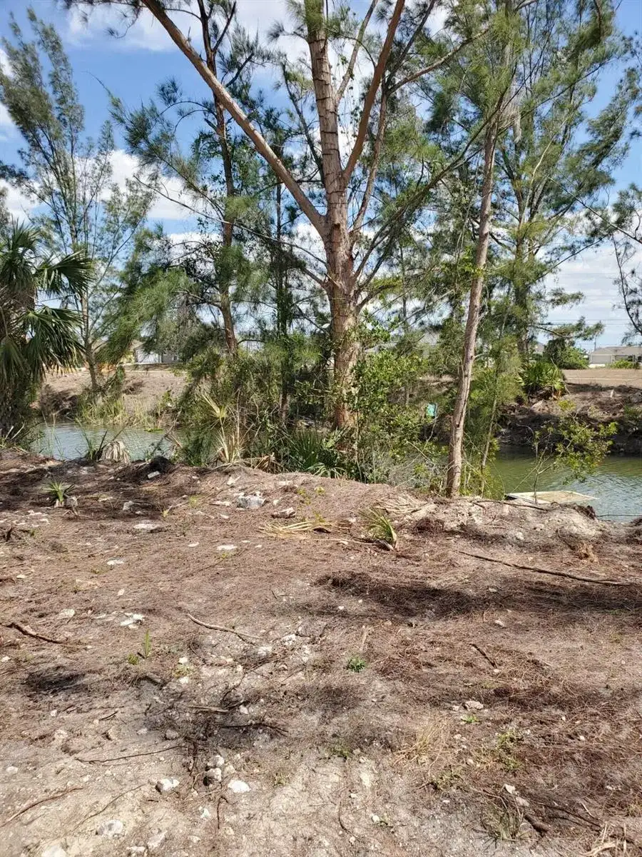 3905 NE 9TH Avenue, Cape Coral FL 33909 photo 2