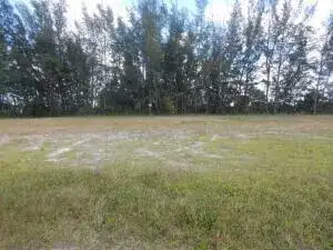 3905 NE 9TH Avenue, Cape Coral FL 33909 photo 3