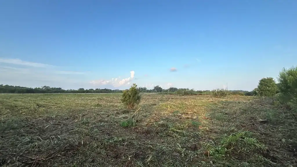 15842 NW 284th Street, Okeechobee FL 34972 photo 4